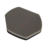 Bosch & Siemens Süpürge Sünger Hazne Filtresi